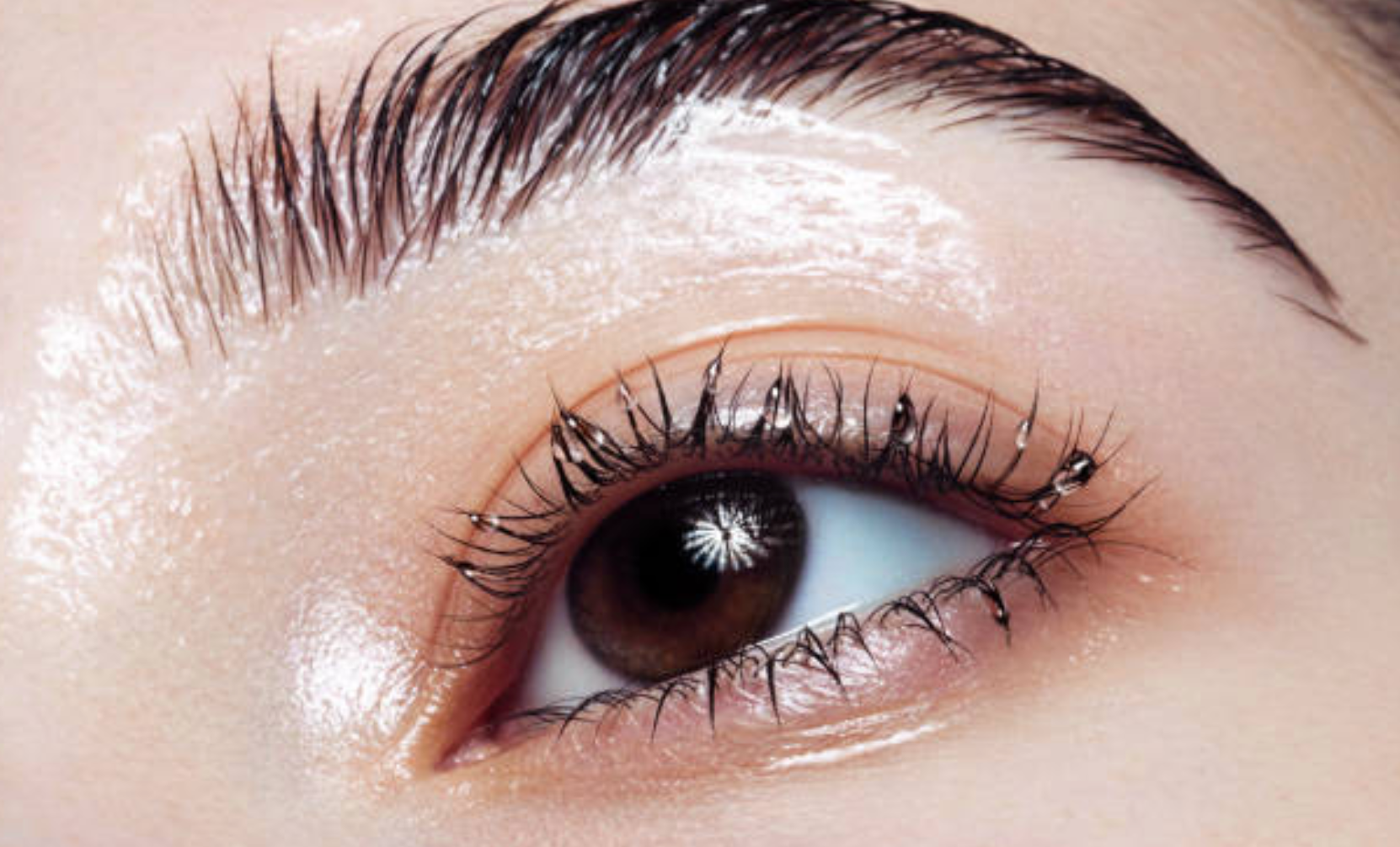 H2Whoa Lashes | Why the Wet Lash Trend Is Rising in 2021